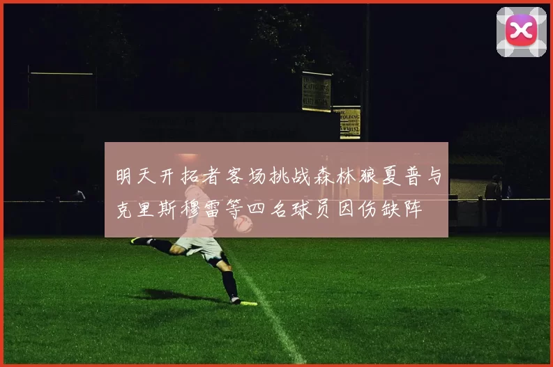明天开拓者客场挑战森林狼夏普与克里斯穆雷等四名球员因伤缺阵