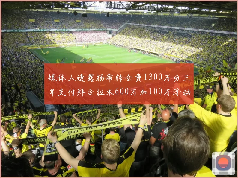 媒体人透露杨希转会费1300万分三年支付拜合拉木600万加100万浮动